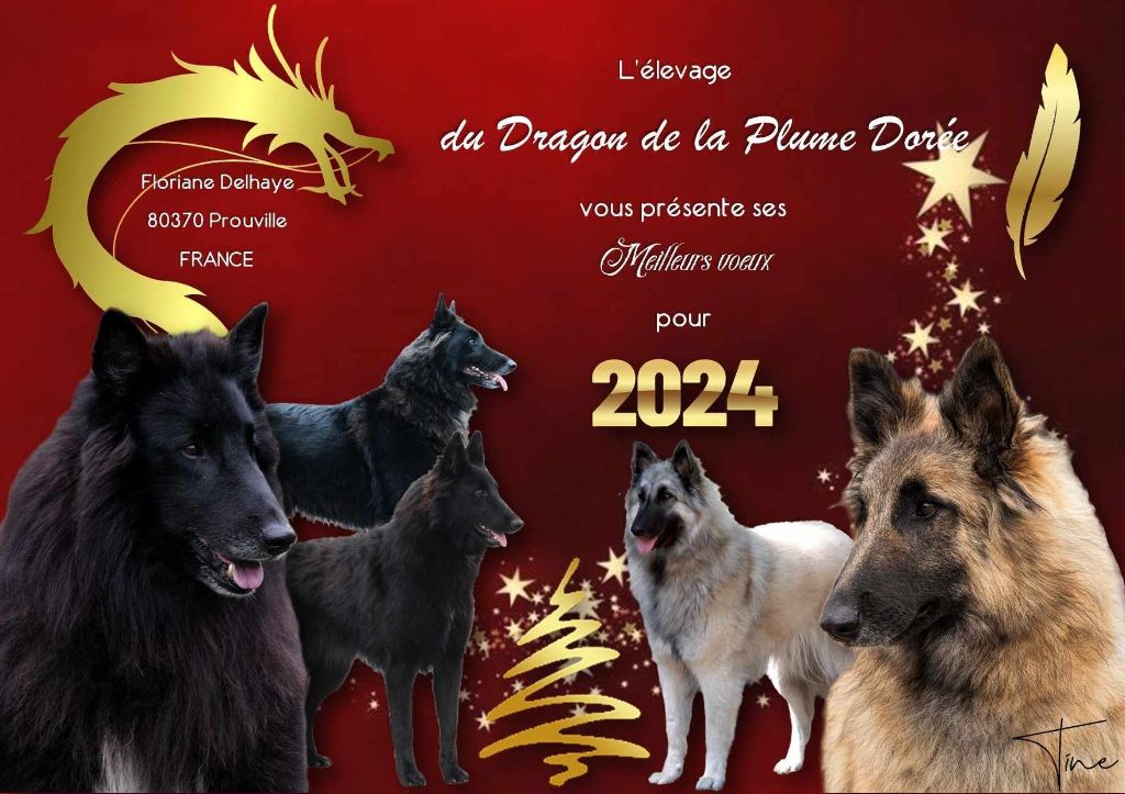 Du Dragon De La Plume Dorée - Joyeuse fêtes de fin d'année 