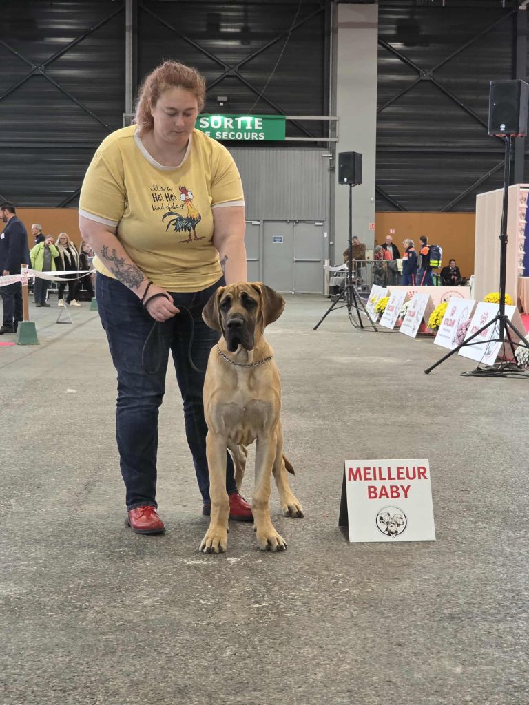 Arthas Du Dragon De La Plume Dorée
